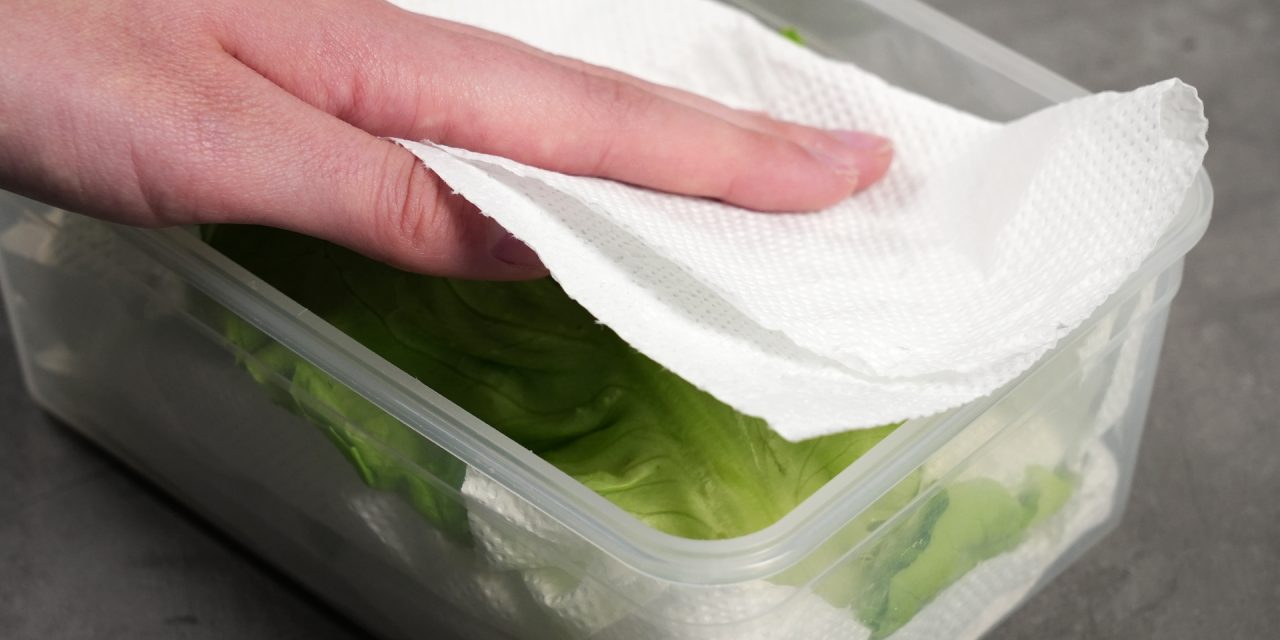 Cara Menyimpan Selada Pakai Tisu Dapur Agar Tetap Segar