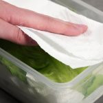 Cara Menyimpan Selada Pakai Tisu Dapur Agar Tetap Segar