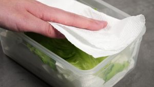 Cara Menyimpan Selada Pakai Tisu Dapur Agar Tetap Segar