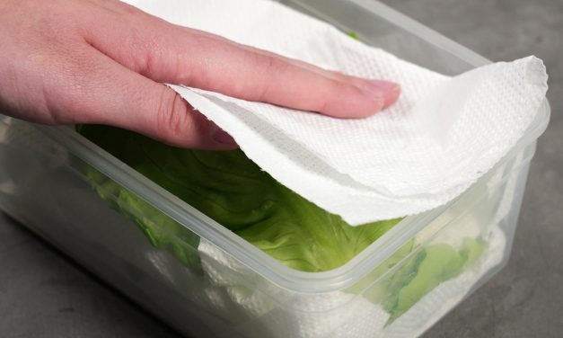 Cara Menyimpan Selada Pakai Tisu Dapur Agar Tetap Segar